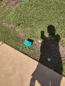 images from the Red Butte Garden & Arboretum in SLC