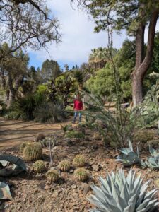 image from Ruth Bancroft Garden in Walnut Creek - April 2024