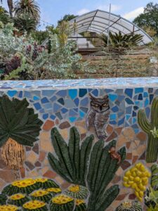 image from Ruth Bancroft Garden in Walnut Creek - April 2024