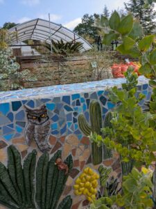 image from Ruth Bancroft Garden in Walnut Creek - April 2024