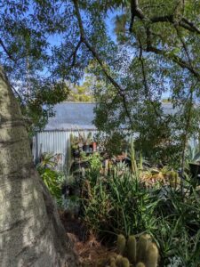 image from Ruth Bancroft Garden in Walnut Creek - April 2024