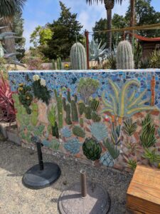 image from Ruth Bancroft Garden in Walnut Creek - April 2024