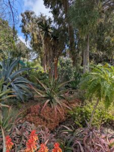 image from Ruth Bancroft Garden in Walnut Creek - April 2024