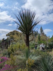 image from Ruth Bancroft Garden in Walnut Creek - April 2024