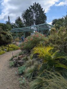 image from Ruth Bancroft Garden in Walnut Creek - April 2024