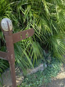 image from Ruth Bancroft Garden in Walnut Creek - April 2024