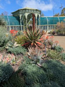 image from Ruth Bancroft Garden in Walnut Creek - April 2024
