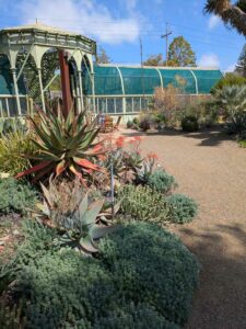 image from Ruth Bancroft Garden in Walnut Creek - April 2024