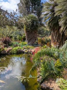 image from Ruth Bancroft Garden in Walnut Creek - April 2024