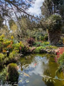 image from Ruth Bancroft Garden in Walnut Creek - April 2024