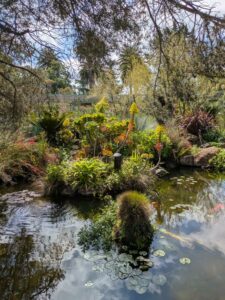 image from Ruth Bancroft Garden in Walnut Creek - April 2024