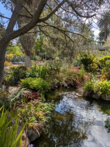 image from Ruth Bancroft Garden in Walnut Creek - April 2024