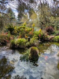 image from Ruth Bancroft Garden in Walnut Creek - April 2024
