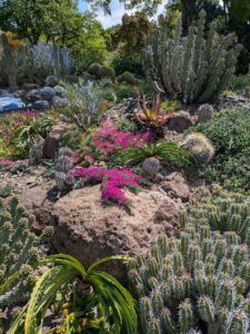 image from Ruth Bancroft Garden in Walnut Creek - April 2024