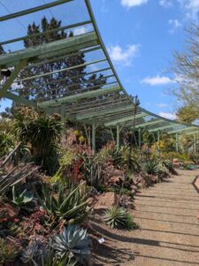 image from Ruth Bancroft Garden in Walnut Creek - April 2024