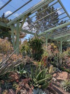 image from Ruth Bancroft Garden in Walnut Creek - April 2024