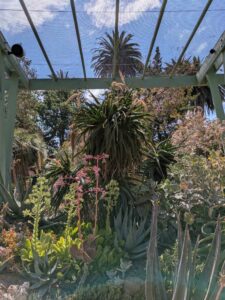 image from Ruth Bancroft Garden in Walnut Creek - April 2024