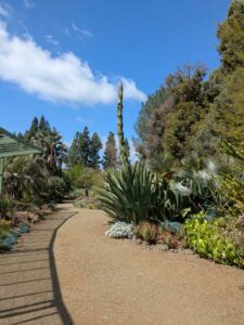 image from Ruth Bancroft Garden in Walnut Creek - April 2024