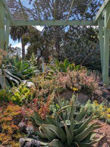 image from Ruth Bancroft Garden in Walnut Creek - April 2024