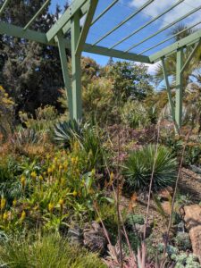 image from Ruth Bancroft Garden in Walnut Creek - April 2024