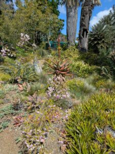 image from Ruth Bancroft Garden in Walnut Creek - April 2024