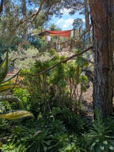image from Ruth Bancroft Garden in Walnut Creek - April 2024