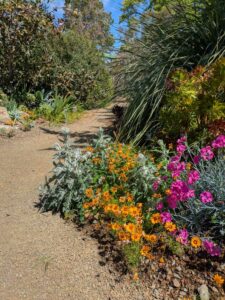 image from Ruth Bancroft Garden in Walnut Creek - April 2024