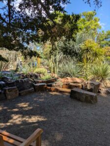 image from Ruth Bancroft Garden in Walnut Creek - April 2024