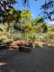 image from Ruth Bancroft Garden in Walnut Creek - April 2024