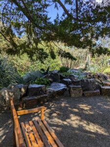 image from Ruth Bancroft Garden in Walnut Creek - April 2024