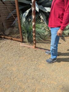 image from Ruth Bancroft Garden in Walnut Creek - April 2024