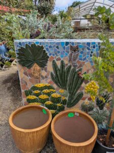 image from Ruth Bancroft Garden in Walnut Creek - April 2024
