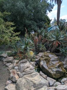 image from Ruth Bancroft Garden in Walnut Creek - April 2024