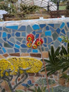 image from Ruth Bancroft Garden in Walnut Creek - April 2024