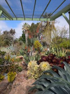 image from Ruth Bancroft Garden in Walnut Creek - April 2024