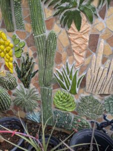 image from Ruth Bancroft Garden in Walnut Creek - April 2024