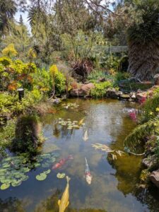 image from the Ruth Bancroft Garden in Walnut Creek - spring 2025