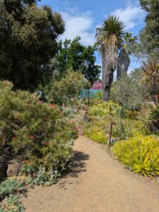 image from the Ruth Bancroft Garden in Walnut Creek - spring 2025