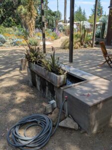 image from the Ruth Bancroft Garden in Walnut Creek - spring 2025