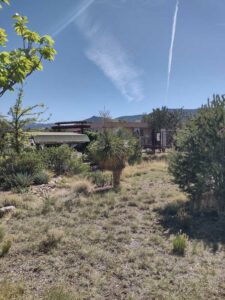 Image from Santa Fe Botanical Garden, May 2024