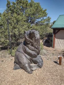 Image from Santa Fe Botanical Garden, May 2024