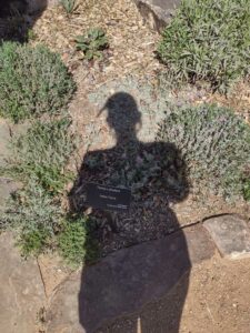 Image from Santa Fe Botanical Garden, May 2024