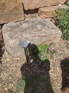 Image from Santa Fe Botanical Garden, May 2024