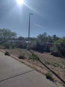 Image from Santa Fe Botanical Garden, May 2024