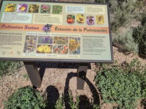 Image from Santa Fe Botanical Garden, May 2024