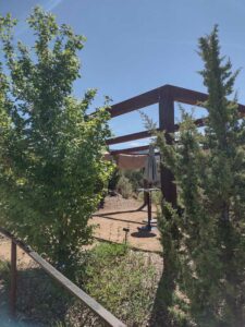 Image from Santa Fe Botanical Garden, May 2024