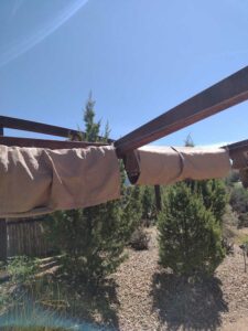 Image from Santa Fe Botanical Garden, May 2024