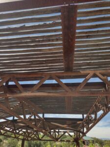 Image from Santa Fe Botanical Garden, May 2024