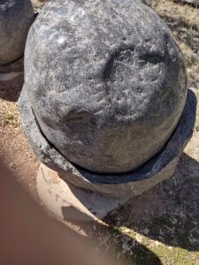 Image from Santa Fe Botanical Garden, May 2024