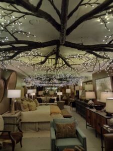 image from Santa Fe NM May 2024